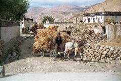 11 Village Life In Peruche On The Way To Everest North Face Tibet.jpg